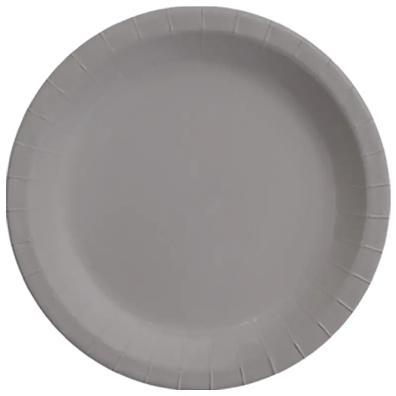 Silver Pastel Kağıt Tabak 8'li